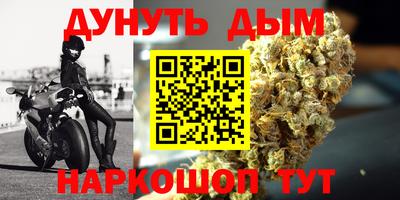 индика Будённовск