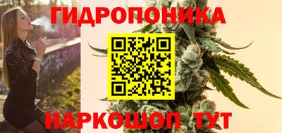 индика Будённовск