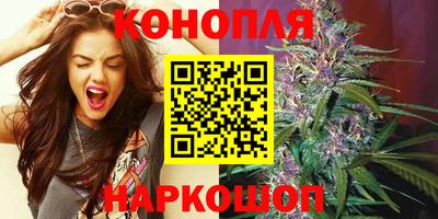 индика Будённовск