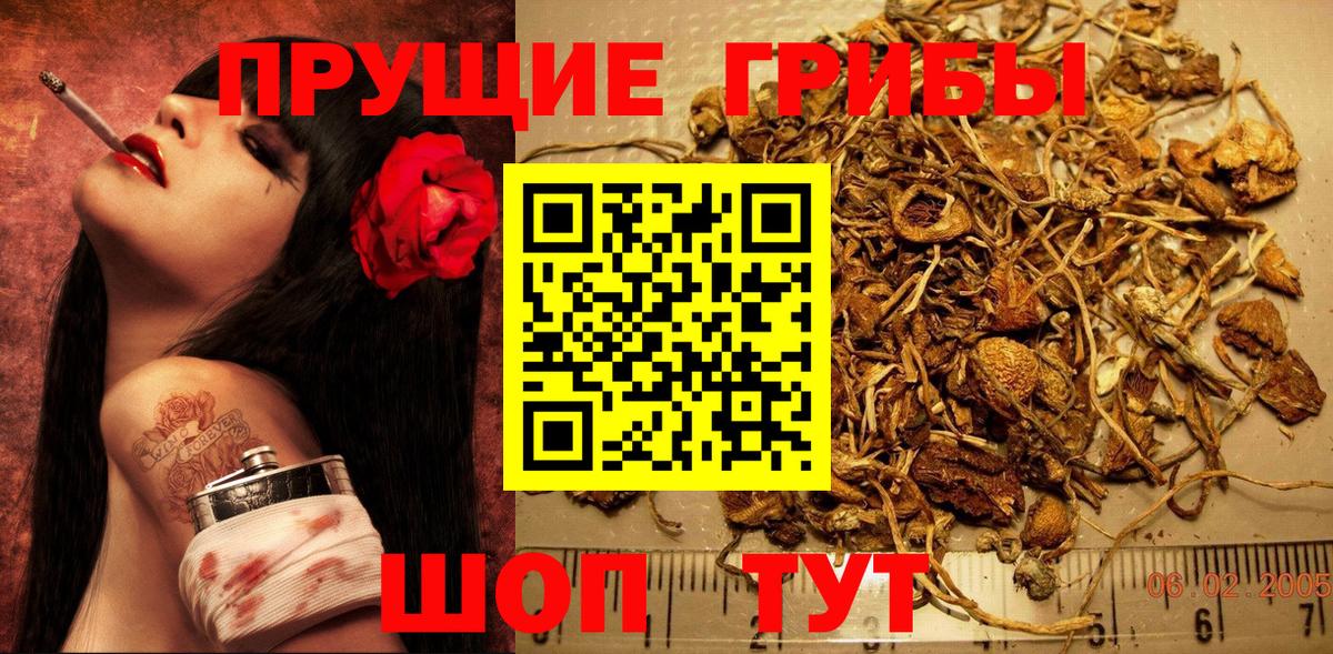 Галлюциногенные грибы мухоморы  Вход с VPN  Благовещенск 